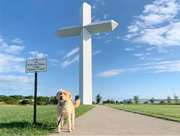 The Cross at Crossroads