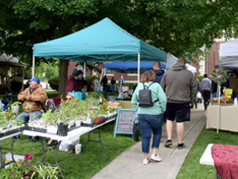 Effingham Farmer's Market